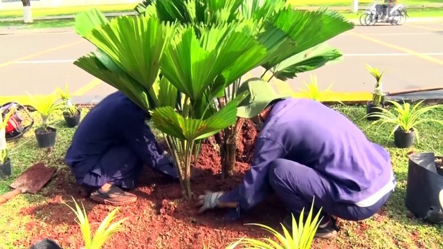 TONG HOP GIAO THONG GIAO DUCTRONG CAY XANH CONG BO QUY HOACH TMDV CONG NGHEIP DOANH NGHIEP KINH TE