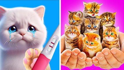 PREGNANT Kitten Needs HELP  *Cute Gadgets And Crafts For cat Lovers*