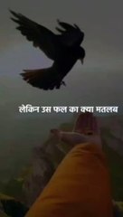 Inspiring Motivational Shorts ✨