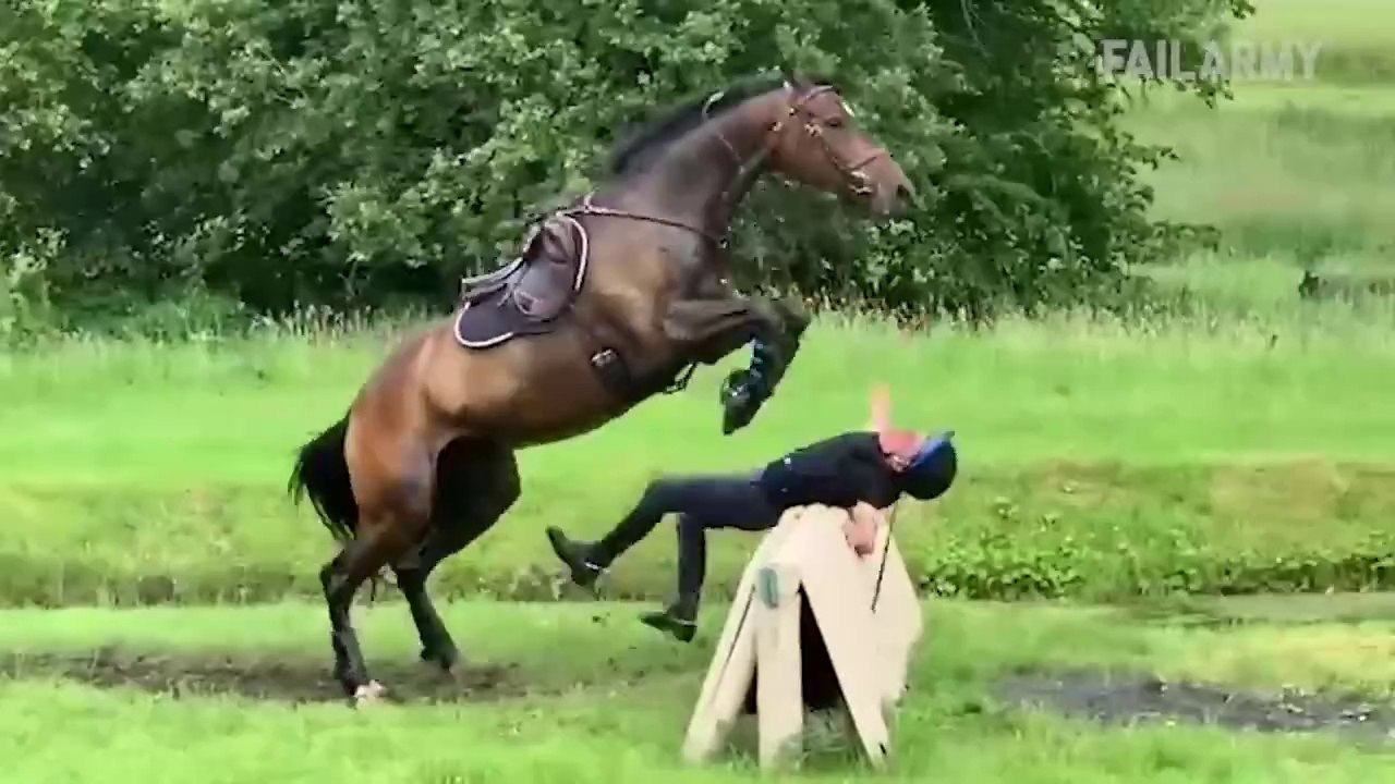 Funny fails | You Laugh You Lose | 2024 Funny F...