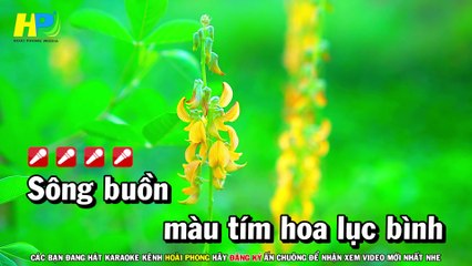 Karaoke Đò Sang Ngang (Beat Hay) Tone Nam Nhạc Sống  Hoài Phong