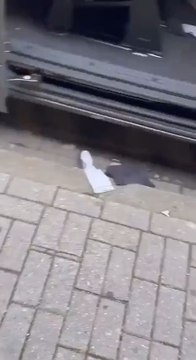 Récapitulatif du Jour 1 des Jeux Olympiques de Paris 2024 L'équipe cycliste australienne dévalisée Match de football abandonné en raison de violences Une femme trans remet la flamme olympique