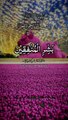 Surat al-Nisa سورۃ النساء Tilawatul_Quran beautiful voice translation Urdu