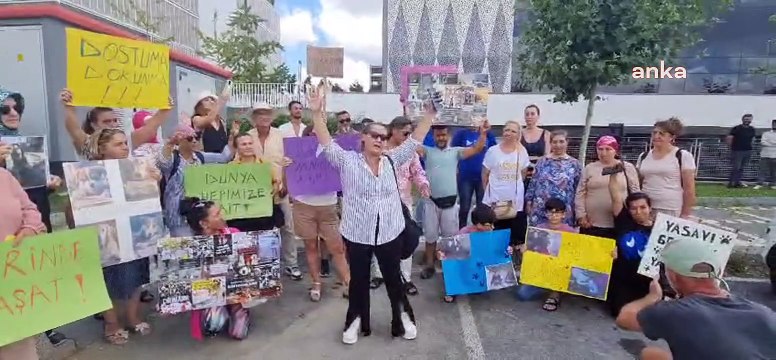 Hayvanseverler kısır ve aşılı köpek “Co”nun toplanmasını belediye önünde protesto etti