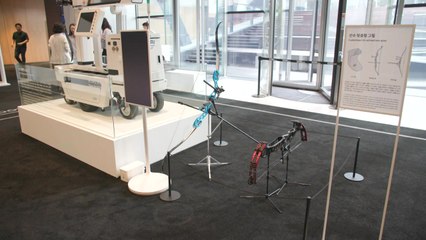 [기업] '40년 양궁 사랑' 현대차, 태극 궁사 훈련법 공개 / YTN