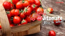 Qué le pasa a tu cuerpo si comes jitomate  ¡Conoce sus beneficios!