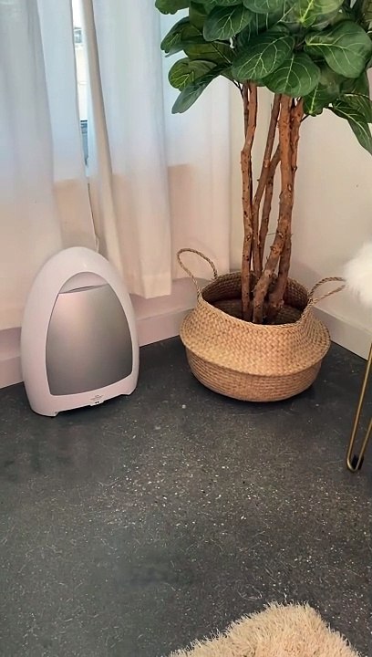 Touchless Sensor Activated Vacuum!