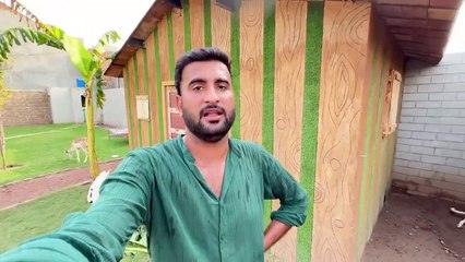 shehar mein dehat ep 11 2024 mini animal zoo Dogs Main Parvo Virus To Nhi HaiTentions Shro