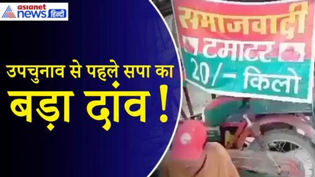 Ayodhya में 20 रुपए किलो बिका Samajwadi टमाटर|Ayodhya Milkipur Up Chunav| Akhilesh Yadav