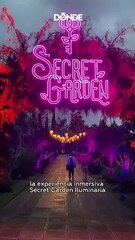 Secret Garden Iluminaria: instalaciones lumínicas en Parque Bicentenario