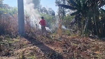 Bombeiros combatem incêndio no bairro Periolo