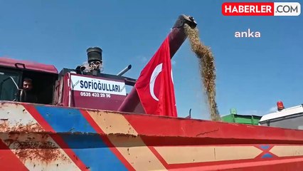 Yozgat'ta Mercimek Hasadı Tamamlandı