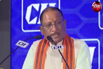 इस्पात उद्योग के विस्तार की बहुत संभावनाएं : सीएम साय