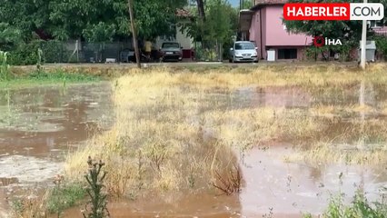 Uşak'ta Yağmur ve Dolu Etkili Oldu