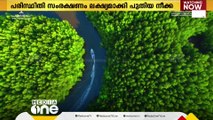 സൗദിയെ പച്ചപുതപ്പിക്കാൻ കണ്ടൽകാട് നടുന്ന പദ്ധതിക്ക് തുടക്കം