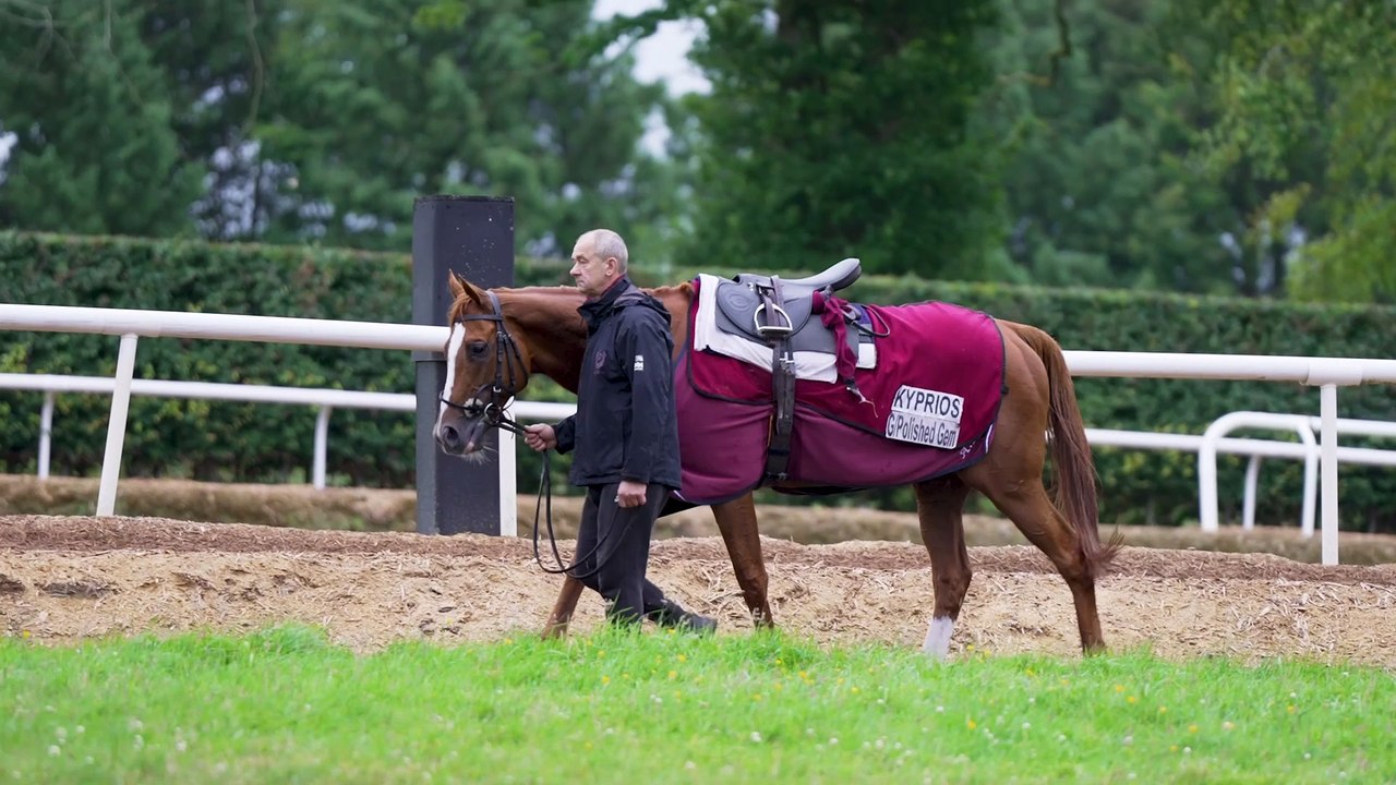 Aidan O'Brien on his runners for Glorious Goodwood 2024