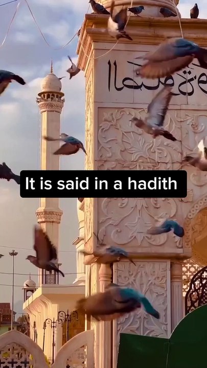 Best Foods In Islam #shorts #islamic status #whatsappstatus   #viral #trending  Islamik Status Tips for✍️ Muslim| Deen ki baten#islamik Tips#tips  #tips#deen #islamic