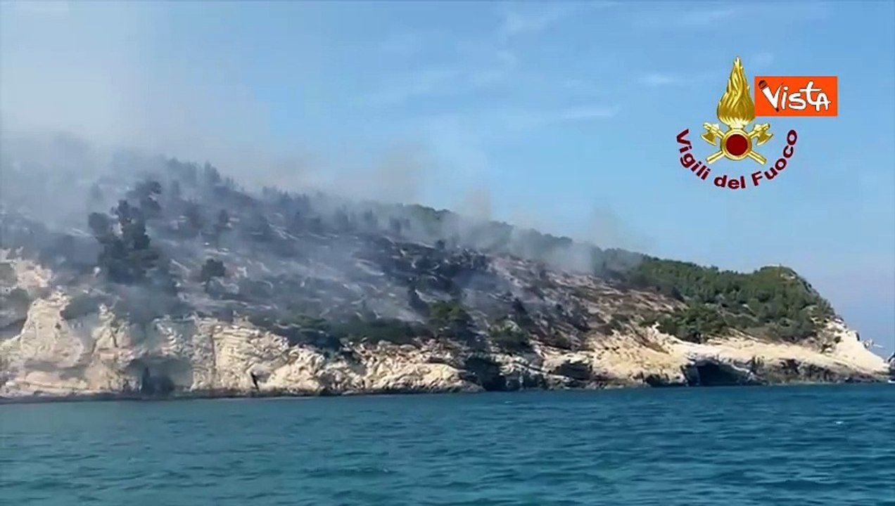 Incendio di Vieste, baia San Felice devastata dal rogo. Le operazioni di spegnimento con i Canadair