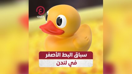 سباق البط الأصفر الخيري في لندن 🐥 دعمًا للأطفال المحتاجين