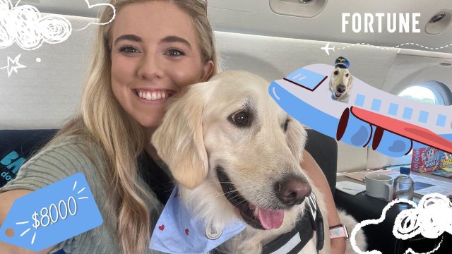 We Tried an $8,000 Flight for Dogs