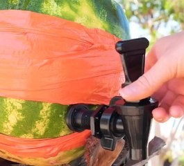 Mouth watering watermelon ice latte recipe!
