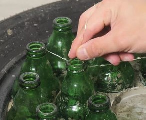 From tipple to treasure! Eco-friendly bottle crafts for your yard!