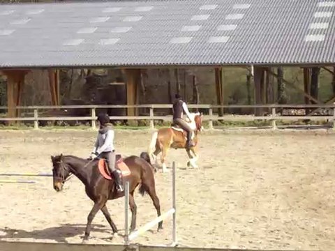 Cours de samedi : travaille sur un 8 de chiffre au trot et