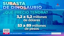 Subastarán dinosaurio con un precio de hasta 5 mdd en Francia