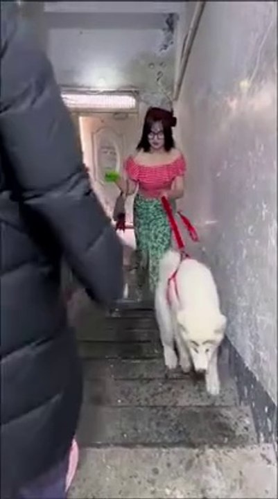 Chinese lifestyle