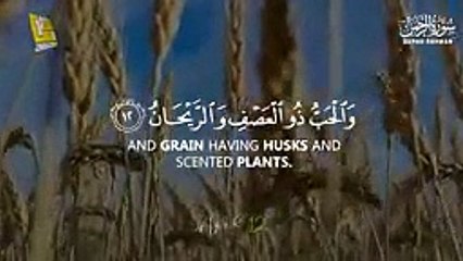 World_s_most_beautiful_recitation_of_Surah_Ar-Rahman__%D8%B3%D9%88%D8%B1%D8%A9_%D8%A7%D9%84%D8%B1%D8%AD%D9%85%D9%86_____Zikrullah_TV(144p)