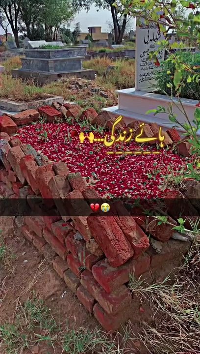 AhaTik_aliyanakram74_1721160244713