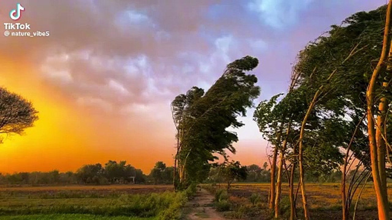 Weather is too beautiful ❤️❤️