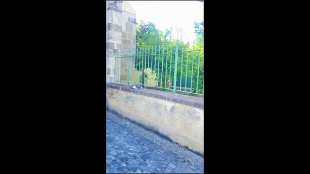 Eid ul-Adha Mubarak! Celebrating at Hala Sultan Tekke: A Spiritual Journey in Cyprus