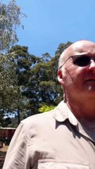 Bal To Don Vil Twenty Nine