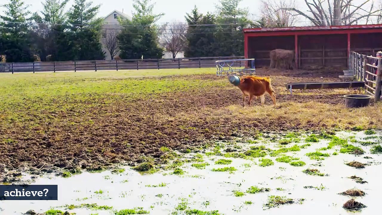 "Terrifying True Horror Stories | Scary Encounters, Paranormal Events