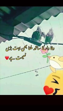 Here are a few title ideas for a funny video: 1. Epic Fails and Hilarious Moments Compilation 2. Laugh Out Loud: The Funniest Clips of the Year 3. Comedy Gold: Best Pranks and Jokes 4. When Animals Act Like Humans 5. Unbelievable Bloopers and Ou