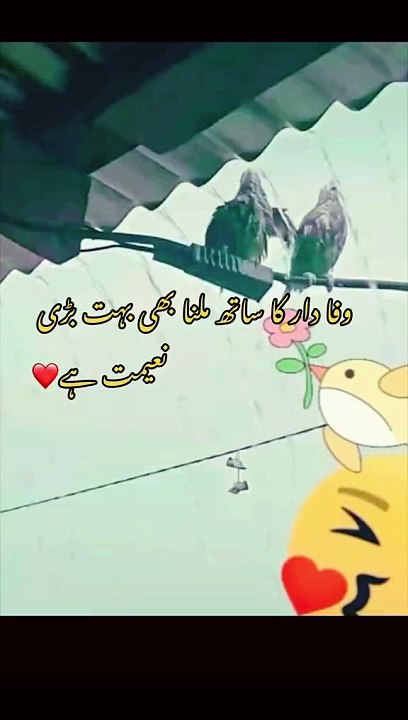 Here are a few title ideas for a funny video:  1. "Epic Fails and Hilarious Moments Compilation" 2. "Laugh Out Loud: The Funniest Clips of the Year" 3. "Comedy Gold: Best Pranks and Jokes" 4. "When Animals Act Like Humans" 5. "Unbelievable Bloopers and Ou