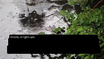 Morning Spatter: Embracing the Calm of a Drizzly Day 🌧️