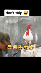 Wasal Kayani - Funny_video(720p)