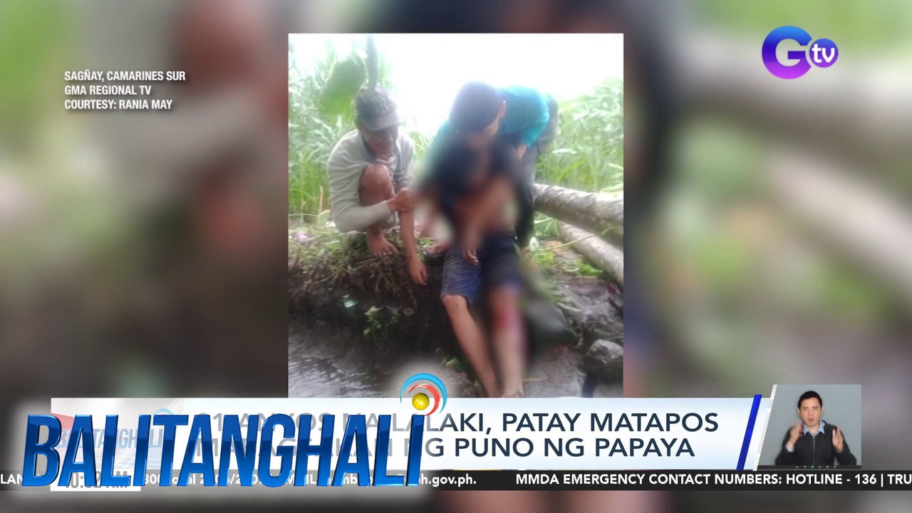 21-anyos na lalaki, patay matapos mabagsakan ng puno ng papaya | Balitanghali