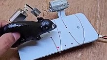 Shocking Evil Mouse Trap Ever 