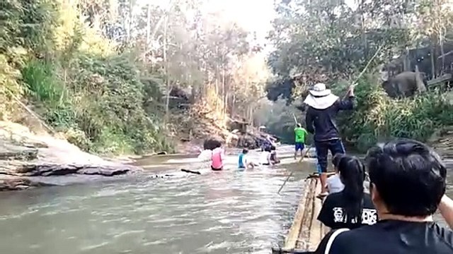 Damn Nature You Scary _ Funny Scary Animal Encounters