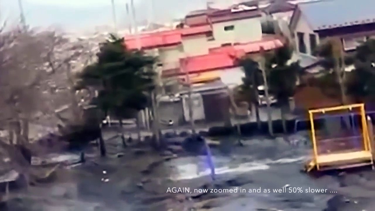 During Japan Tsunami a strange creature was caught on camera - real footage