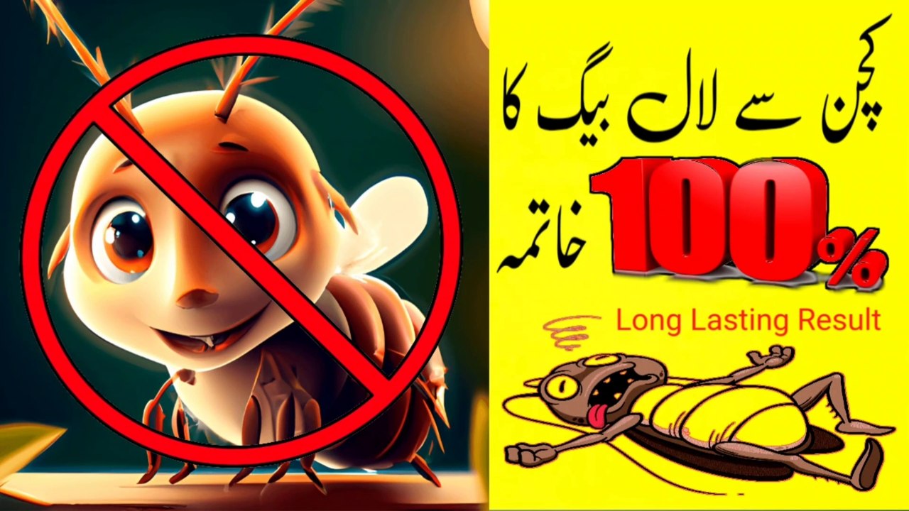 Cockroach Ko Khatam Karne Ka Tarika | Lal Baig Khatam Karne Ka Tarika ...