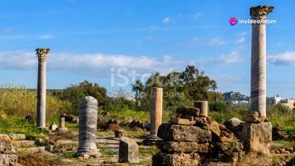 Fun Facts About Algeria You Didn't Know