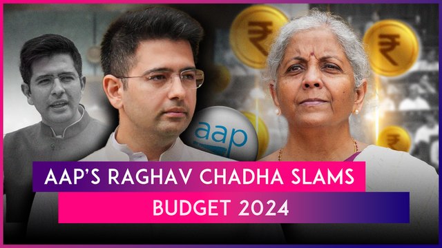 Raghav Chadha On Budget 2024: AAP MP Says ‘We Pays Taxes Like England To Get Services Like Somalia’