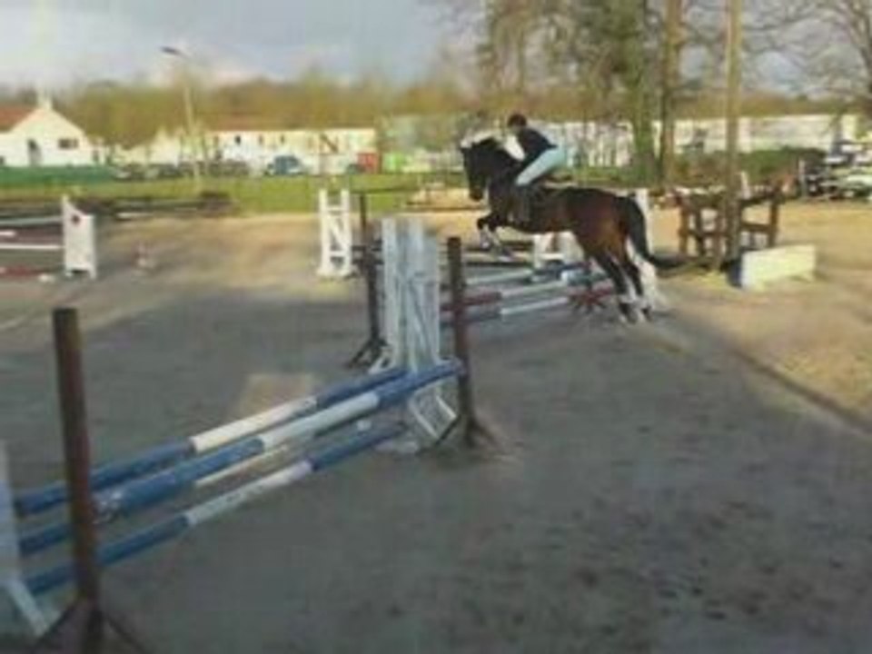 Miiiix Cso Dressage