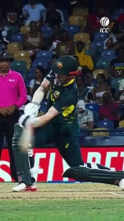 Nice Cricket Match Short