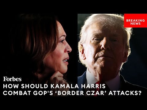 How Should Kamala Harris Combat GOP's 'Border Czar' Attacks?: Top Political Strategist Weighs In