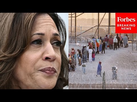 GOP Lawmaker Labels Kamala Harris As ‘Chief Executive Officer Of President Biden’s Border Crisis’